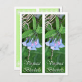 HET BLADWIJZER VAN DE KLOKJES VAN VIRGINIA BRIEFKAART (Voorkant / Achterkant)