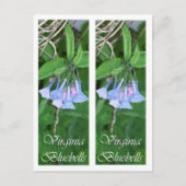 HET BLADWIJZER VAN DE KLOKJES VAN VIRGINIA BRIEFKAART (Voorkant)