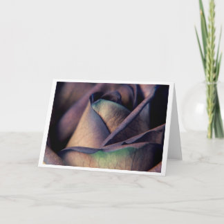 Het blauw nam dicht omhoog toe kaart