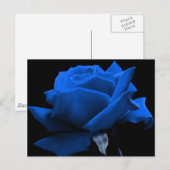 Het blauw nam toe briefkaart (Voorkant / Achterkant)