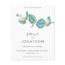 Het Blauw van de Tak Eucalyptus van de begroting s