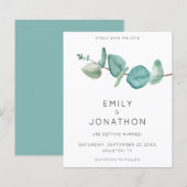 Het Blauw van de Tak Eucalyptus van de begroting s (Voorkant / Achterkant)