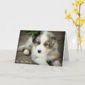 Het blauwe Australische Wenskaart van de Herder Kaart (Gele Bloem)