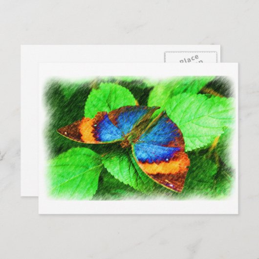 Het blauwe Briefkaart van de Kunst van het Potlood (Voorkant / Achterkant)