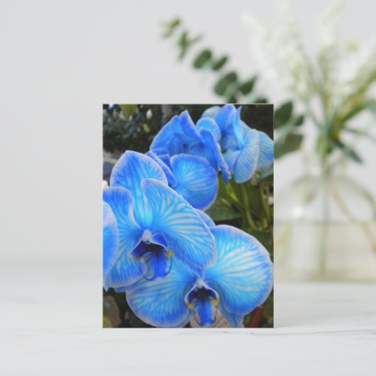 Het blauwe Briefkaart van de Orchideeën van de (Staand voorkant)