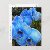 Het blauwe Briefkaart van de Orchideeën van de (Voorkant / Achterkant)