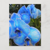 Het blauwe Briefkaart van de Orchideeën van de (Voorkant)