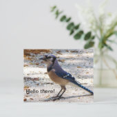 Het blauwe briefkaart van de Vlaamse gaai (Staand voorkant)