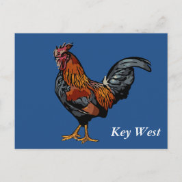 Het blauwe Briefkaart van Key West van de Haan