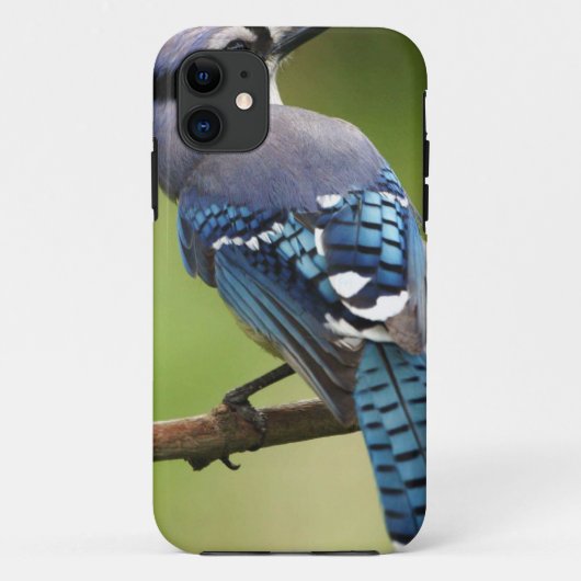Het blauwe denken van de Vlaamse gaai aan u het Case-Mate iPhone Case (Achterkant)