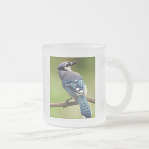 Het blauwe denken van de Vlaamse gaai aan u het Matglas Koffiemok