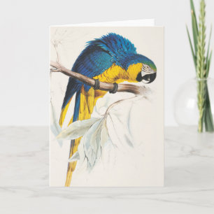Het blauwe en Gele Wenskaart van de Ara Kaart