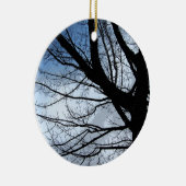 Het blauwe Hemelen en Ornament van de Kunst van de (Rechts)