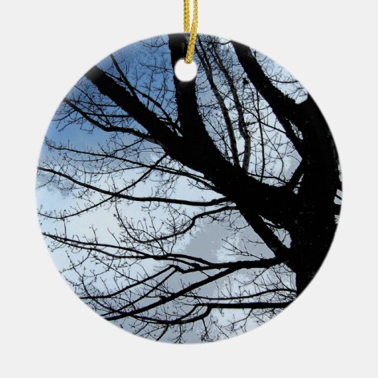 Het blauwe Hemelen en Ornament van de Kunst van de (Voorkant)