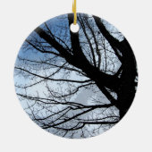 Het blauwe Hemelen en Ornament van de Kunst van de (Achterkant)