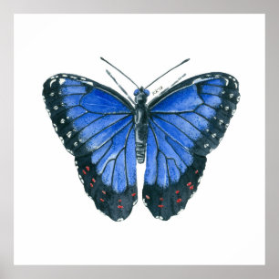 Het blauwe Morpho vlinderwaterverf schilderen Poster