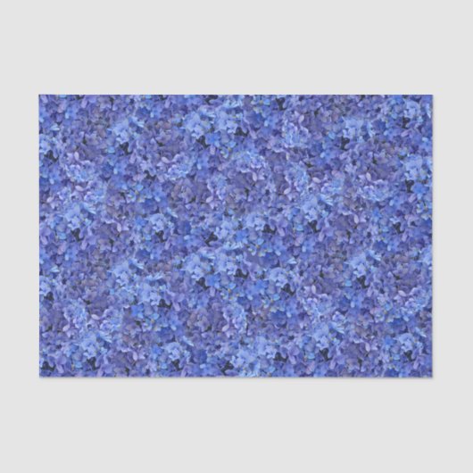Het blauwe papieren zakdoekje van de Hydrangea Tissuepapier (Voorkant)