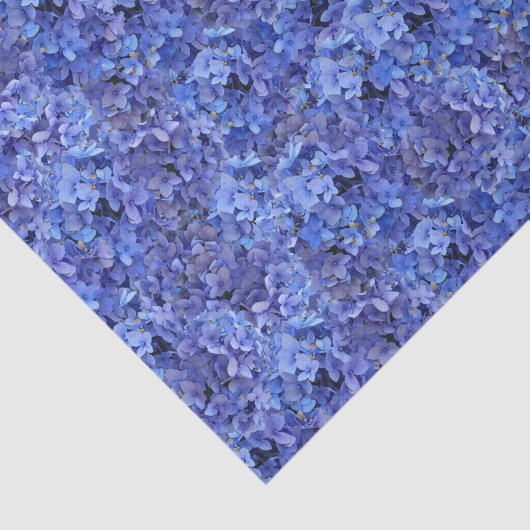 Het blauwe papieren zakdoekje van de Hydrangea Tissuepapier (Detail)