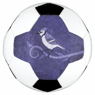 Het blauwe Voetbal van de Vlaamse gaai