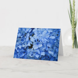 Het blauwe Wenskaart van de Hydrangea hortensia Kaart