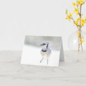 Het blauwe Wenskaart van de Vlaamse gaai (spatie Kaart (Gele Bloem)