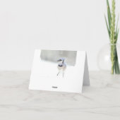 Het blauwe Wenskaart van de Vlaamse gaai (spatie Kaart (Achterkant)