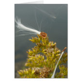 Het blazen in de Breeze (Voorkant)