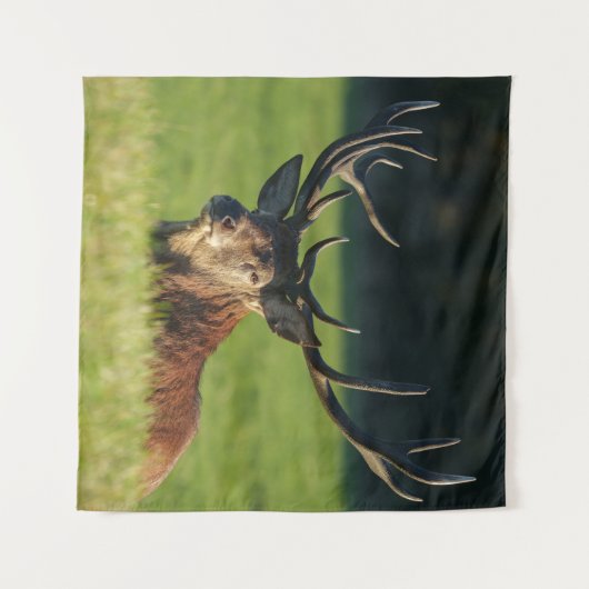 Het blijven rusten in de groene gras wandkleed (Voorkant (horizontaal))