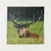 Het blijven rusten in de groene gras wandkleed (Voorkant)