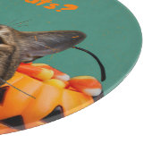 Het blik heeft traktaties kat rond snijplank (Hoek)