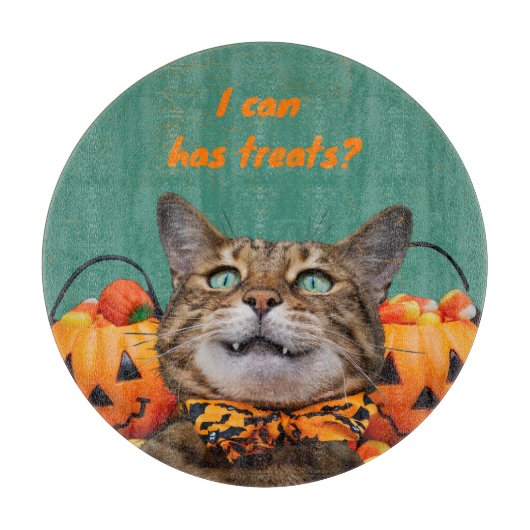 Het blik heeft traktaties kat rond snijplank (Voorkant)