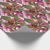 Het bloeden Redbud met Ladybug Cadeaupapier (Hoek)