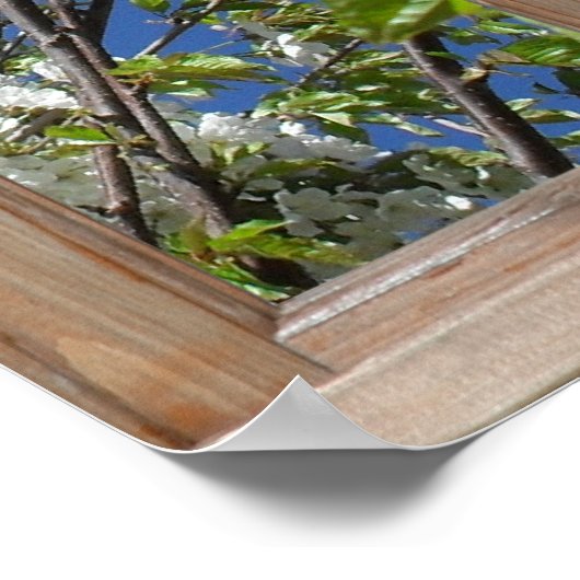 Het bloei Uitzicht van de Boom van een Venster Poster (Hoek)