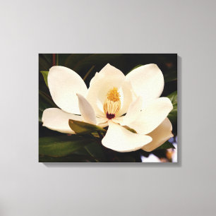 Het bloemen Witte Magnolia Stretched Canvas Druk Afdruk