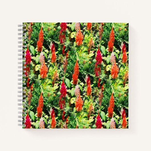 Het bloemenveld..... notitieboek (Voorkant)