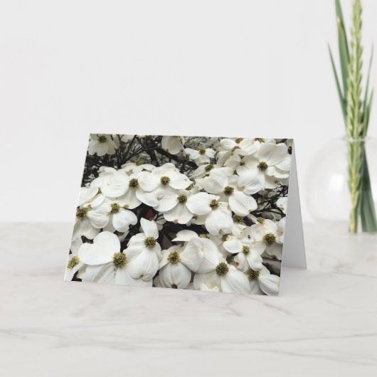 Het bloemenwenskaart van de Bloesem van de Kaart (Voorkant)