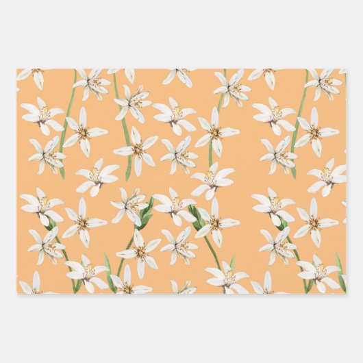 Het bloesem van de zomer Lemon op sinaasappel Inpakpapier Vel (Voorkant 2)