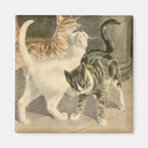 Het boek van de Kat: De Kevers van de punt Magneet