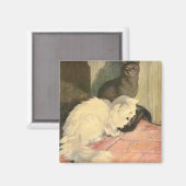 Het Boek van de Kat: Sneeuwbal en Ebony Magneet (Voorkant / Achterkant)