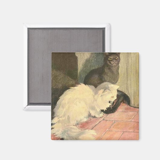 Het Boek van de Kat: Sneeuwbal en Ebony Magneet (Voorkant / Achterkant)