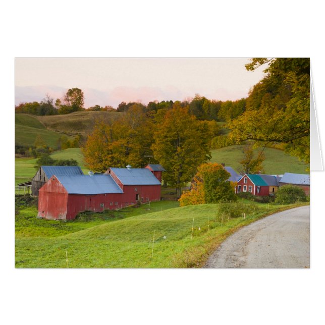 Het Boerderij Jenne in Woodstock, Vermont. Herfst. (Voorkant Horizontaal)