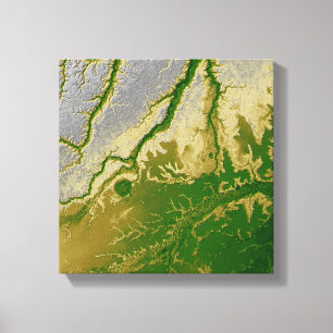 Het Boliviaanse Amazonegebied Canvas Afdruk