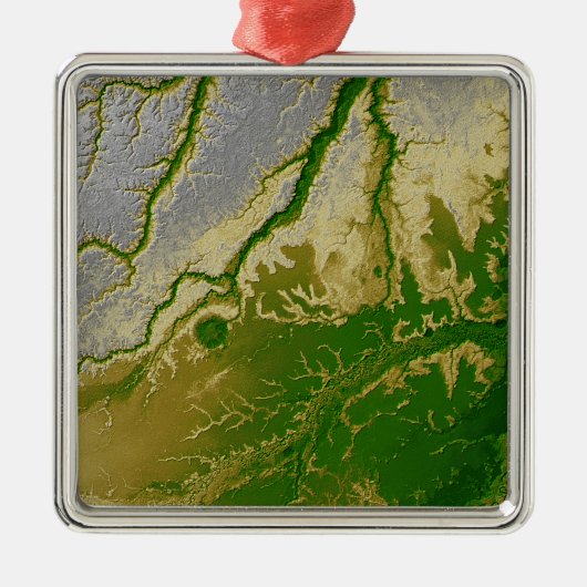 Het Boliviaanse Amazonegebied Metalen Ornament (Voorkant)