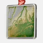 Het Boliviaanse Amazonegebied Metalen Ornament (Links)