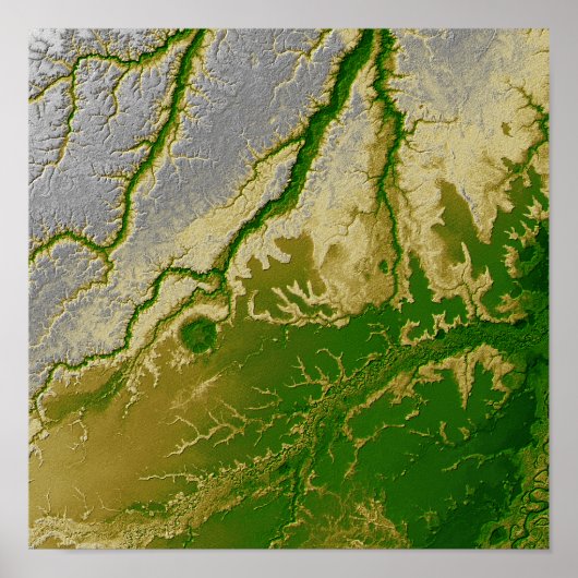 Het Boliviaanse Amazonegebied Poster (Voorkant)