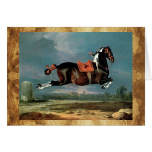 Het Bont Paard "Cehero" Steigerend