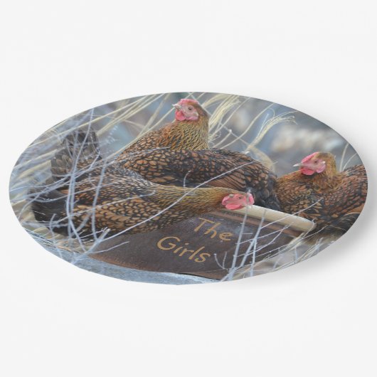 Het Bord van de "Girls" Chicken Paper (Gekanteld)