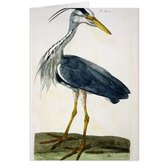 Het bord van de Heron (Ardea cinerea) uit 'The Bri (Voorkant)