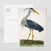 Het bord van de Heron (Ardea cinerea) uit 'The Bri Briefkaart (Voorkant / Achterkant)
