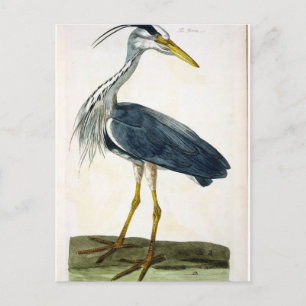 Het bord van de Heron (Ardea cinerea) uit 'The Bri Briefkaart